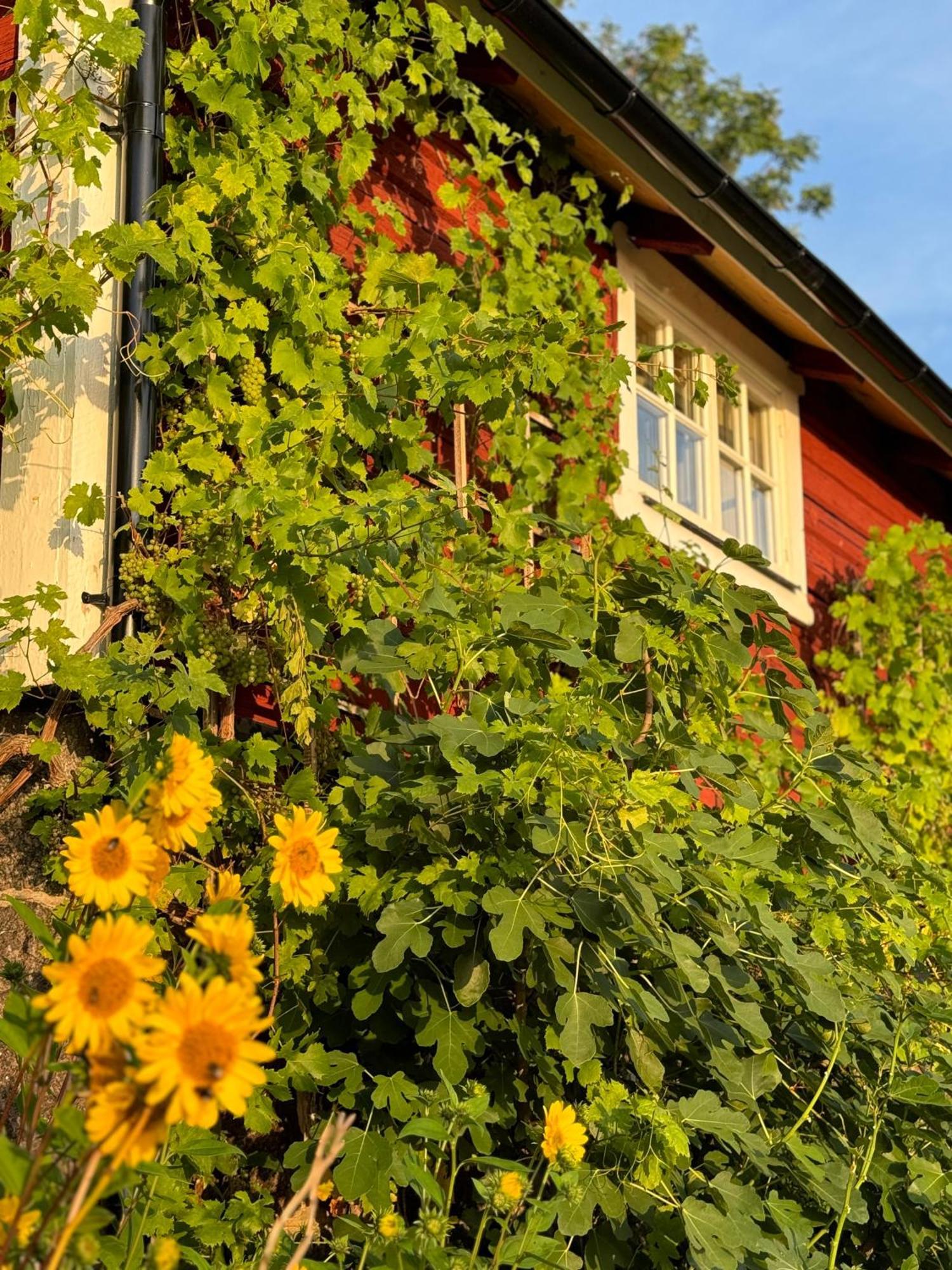 Brunstorpsgard Braenneriet Βίλα Huskvarna Εξωτερικό φωτογραφία